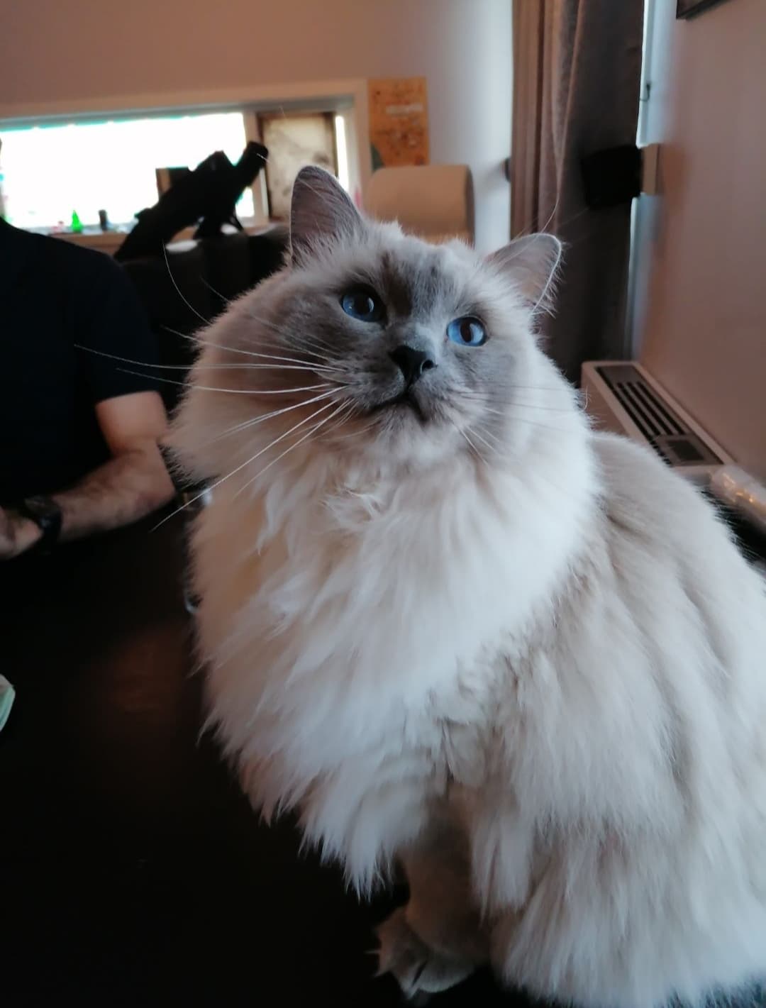 (N) Nordlæningen's Jessie Luke